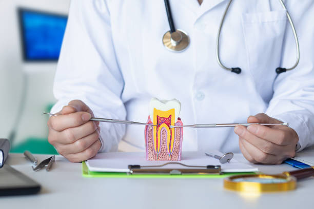 Best Emergency Treatment for Toothache in Leachville, AR